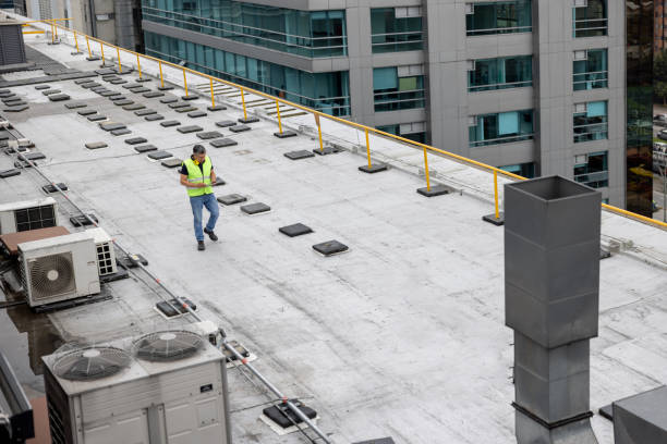Best Roof Moss and Algae Removal  in Woodville, CA